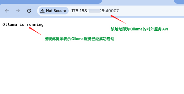 验证Ollama启动成功